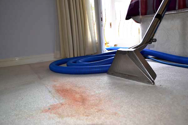Carpet and upholstery cleaning in your Sedgefield, Wynyard and County Durham homes