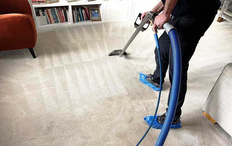 Carpet and upholstery cleaning in your Sedgefield, Wynyard and County Durham homes